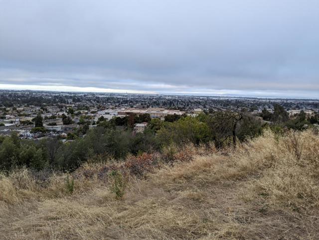 7106 Outlook Avenue, Oakland CA: https://media.crmls.org/mediaz/ed4b0181-afb2-4577-baaf-2498264c67af.jpg