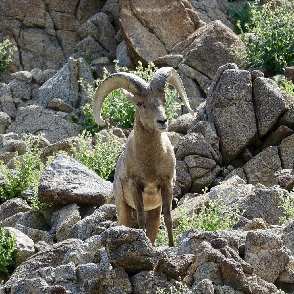 https://media.crmls.org/mediaz/ed52c3e2-9611-4c10-a8f5-d7e56387c2b4.jpg?preset=X-Large