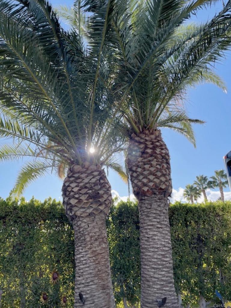 MLS #NDP2507820 image #8