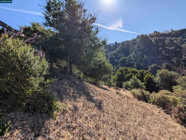 5 Besito Ave. @ Drury Rd., Oakland CA: https://media.crmls.org/mediaz/ed5e36ff-5d4d-4ab2-80d6-39be0d632655.jpg