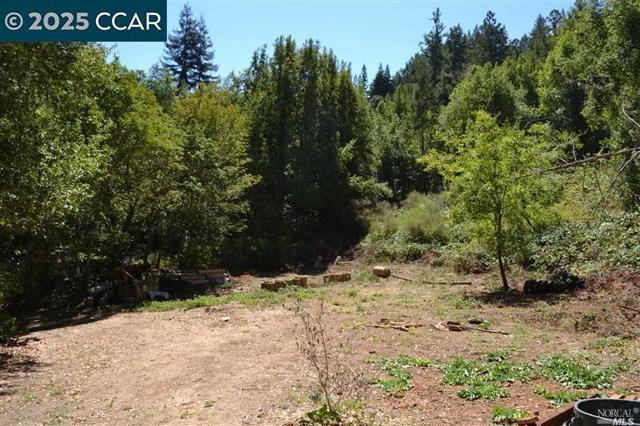 11190 Mc Peak Road, Forestville CA: https://media.crmls.org/mediaz/ed667477-2d29-49ef-84ba-9f946cedcb80.jpg