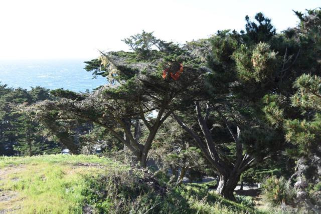 Image 4 of 10 For 0 Spindrift Road