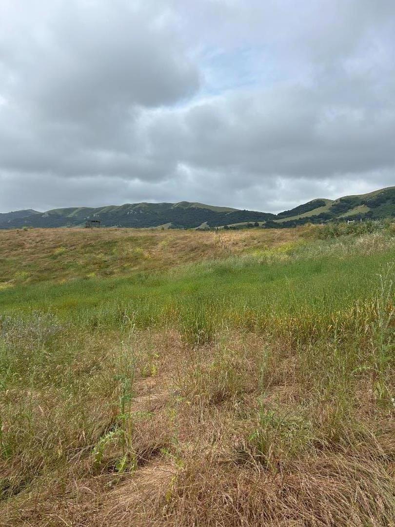 MLS #ML82007272 image #24