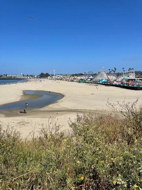 140 Suburbia Avenue, Santa Cruz CA: https://media.crmls.org/mediaz/ed74c0be-3ef9-4ab0-8ff5-79155038bc2a.jpg