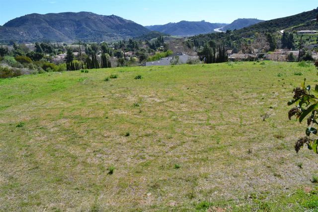 2593 Daisy Lane, Fallbrook, California 92028, ,Land,For Sale,2593 Daisy Lane,CRNDP2307998