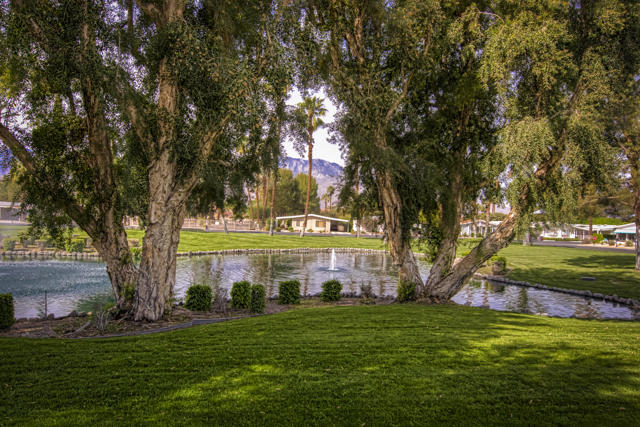 160 Hilligoss Drive, Cathedral City CA: https://media.crmls.org/mediaz/ed84a6bd-e05a-4d84-96b7-5f772f6c4955.jpg