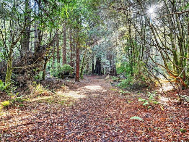 Detail Gallery Image 39 of 47 For 19400 Dorffi Rd, Fort Bragg,  CA 95437 - 3 Beds | 2/1 Baths