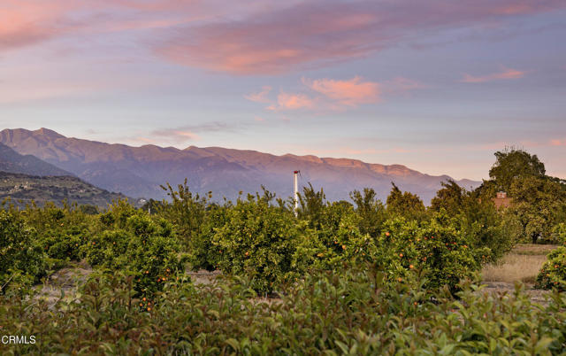 714 Mercer Avenue, Ojai CA: https://media.crmls.org/mediaz/ed8c13b5-16a3-43f2-a1a4-d372a99c8c6f.jpg