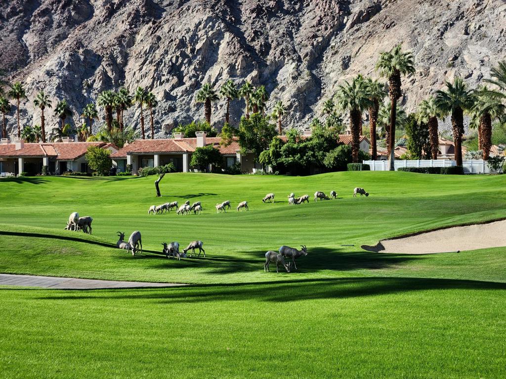 MLS #219136046DA image #46