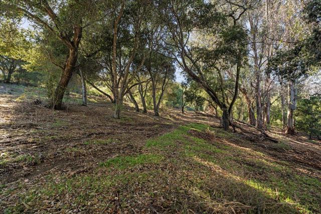 0 Old Santa Cruz Highway, Los Gatos CA: https://media.crmls.org/mediaz/ed99d7d5-0510-4fcd-8c1e-69f0651a3f63.jpg