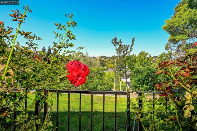 703 Terra California, Walnut Creek CA: https://media.crmls.org/mediaz/eda1dcab-06fb-4795-9af4-71692911a51e.jpg