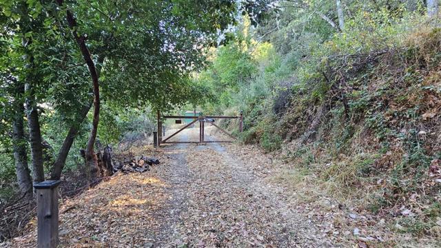 20245 Gist Road, Los Gatos CA: https://media.crmls.org/mediaz/eda72b5f-78b3-4f02-9ffa-28cb78ff0fa3.jpg