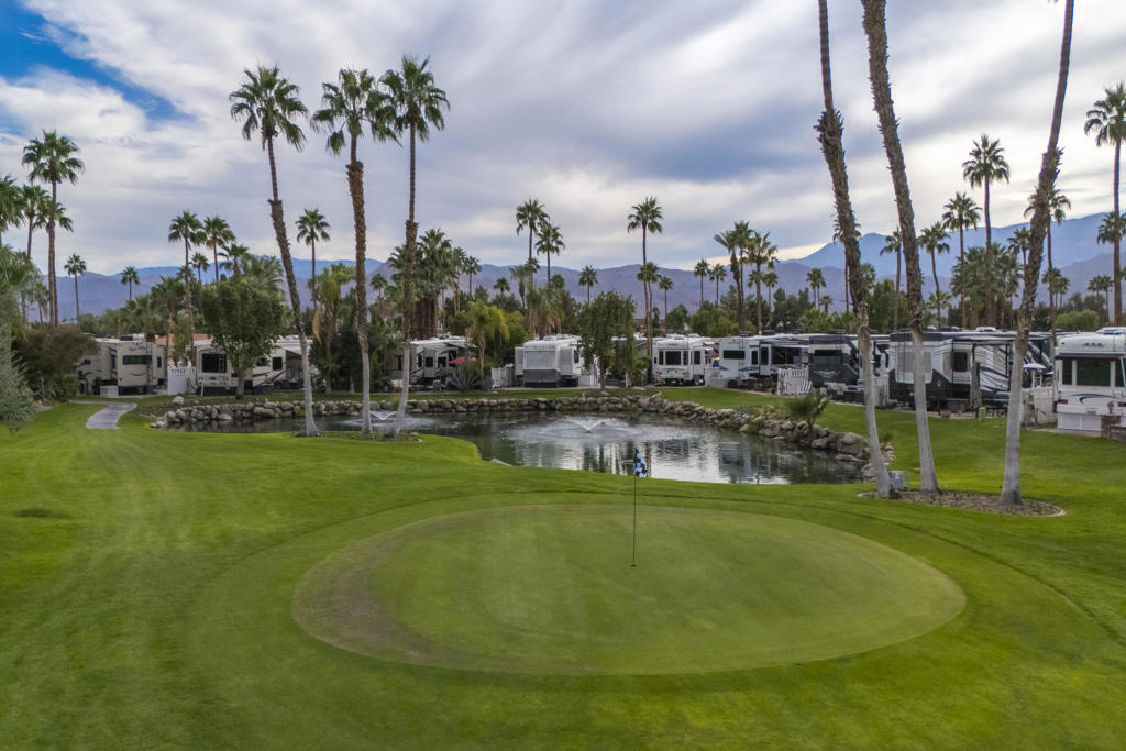 MLS #219138869PS image #9