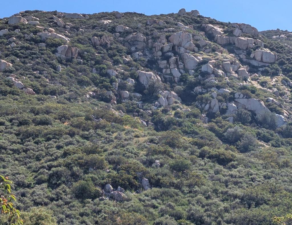 https://media.crmls.org/mediaz/edc61087-5c41-4c6f-90ea-d570881fd834.jpg?preset=X-Large
