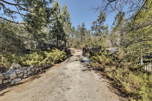 25585 Alderwood St Street, Idyllwild CA: https://media.crmls.org/mediaz/edc7327b-b4db-4615-a1c5-2c52131f6a05.jpg
