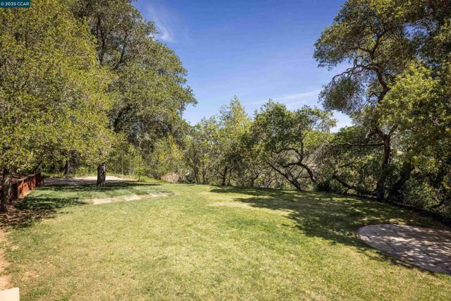 42 Tappan Ln, Orinda CA: https://media.crmls.org/mediaz/edc9184f-354b-41d0-8c8b-2c417057034d.jpg