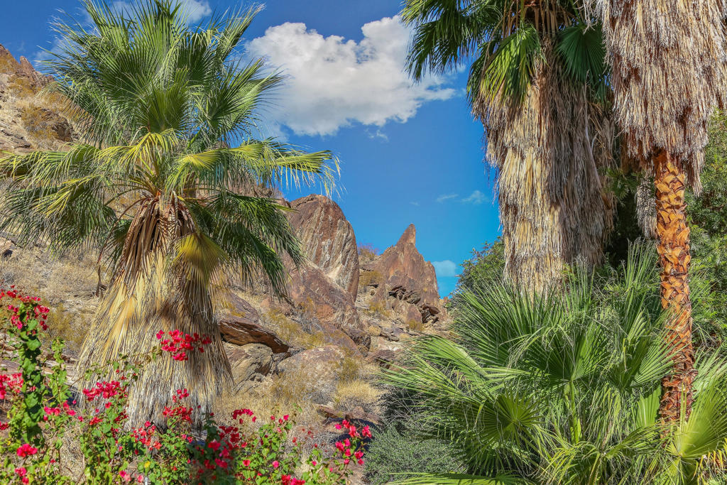 MLS #219131556PS image #8