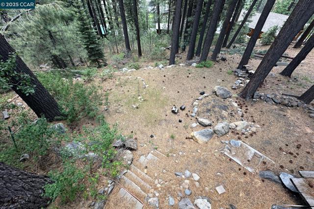 12255 Sierra Dr, Truckee CA: https://media.crmls.org/mediaz/edd415eb-8b01-4c86-ad61-130caf7195db.jpg