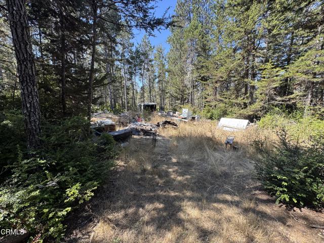 28270 Albion Ridge Road, Albion CA: https://media.crmls.org/mediaz/edd99cad-a654-4abb-a575-db08bc0e1ed0.jpg