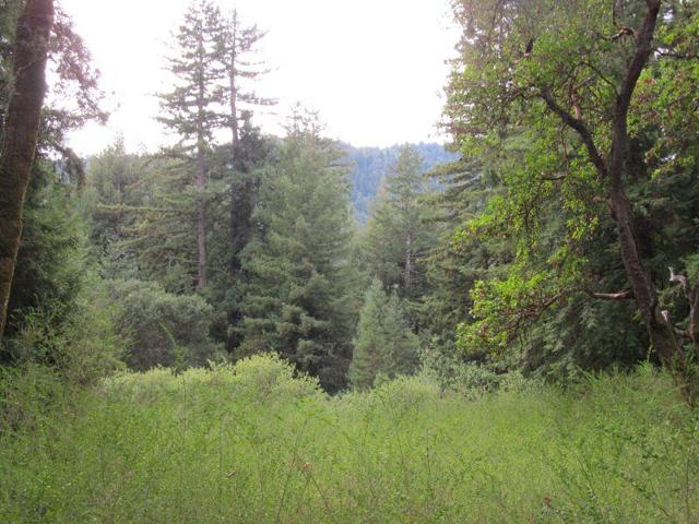 0 E Hilton, Boulder Creek CA: https://media.crmls.org/mediaz/edd9aa14-ec37-4753-a9c6-1f0853a089a3.jpg