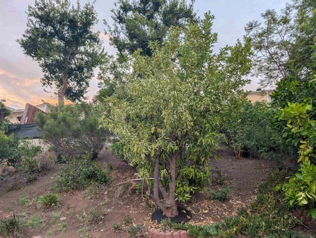 8774 Tommy Drive, San Diego CA: https://media.crmls.org/mediaz/eddb9d45-417a-4d37-90cb-4596d9043de0.jpg