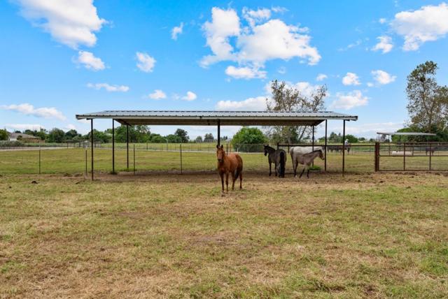 804 Comstock Road, Hollister CA: https://media.crmls.org/mediaz/eddce5bf-d533-4fa7-b73a-e43836f81150.jpg