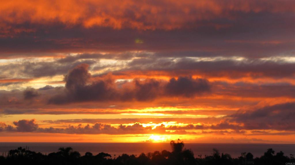 7205 Daffodil - photo 5