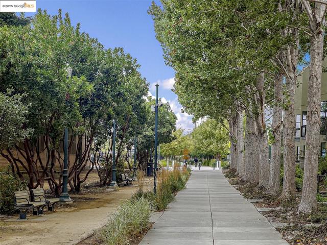 121 City Limits Cir, Emeryville CA: https://media.crmls.org/mediaz/edea51e8-9f96-49ec-b0c4-45d60d4e0e16.jpg