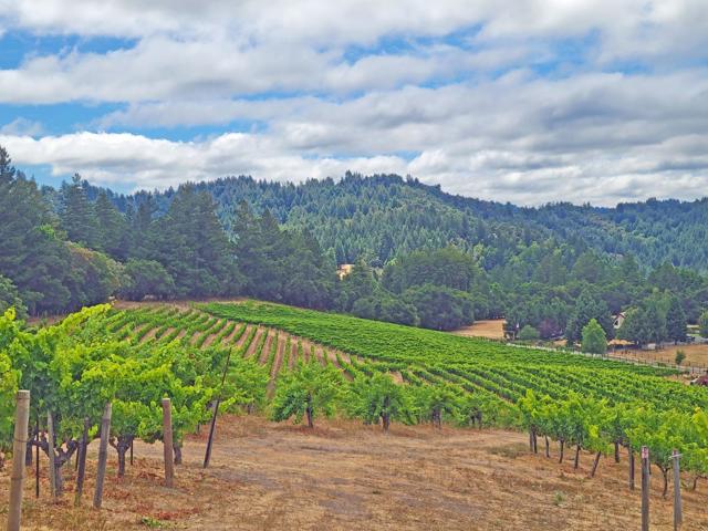 585 Eagle Tree Lane, Felton CA: https://media.crmls.org/mediaz/edee3f7d-a0bb-44d4-9663-2f2a2821dac2.jpg