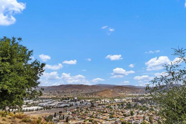 1605 Calabria Street, Santee CA: https://media.crmls.org/mediaz/edee4fd0-4ee5-4c3e-9e94-a0cb31ad58fd.jpg