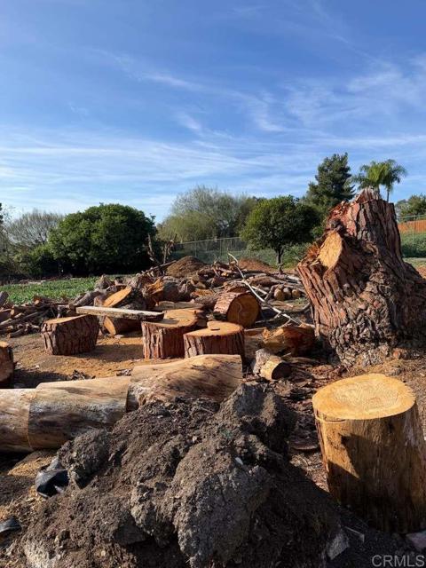 Detail Gallery Image 39 of 42 For 3536 Ybarra Rd, Spring Valley,  CA 91978 - 3 Beds | 2 Baths