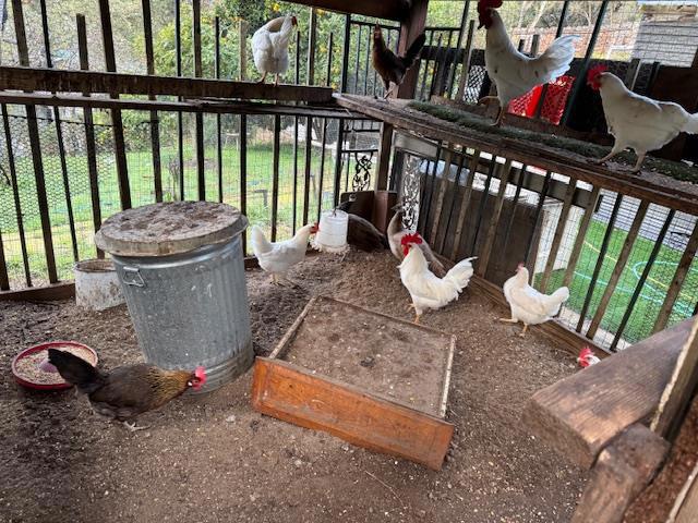 Image 15 of 31 For 18171 Berta Canyon Road