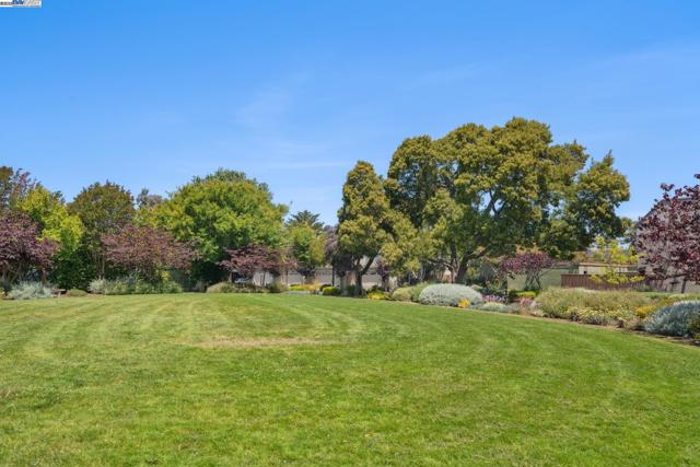 1105 Fontana Dr, Alameda CA: https://media.crmls.org/mediaz/ee04387c-48ee-4fc2-a4c7-de6cc4733a67.jpg