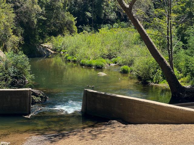 241 Redwood Way, Boulder Creek CA: https://media.crmls.org/mediaz/ee05ee3f-139d-4aa0-9536-bbca8dc48d44.jpg
