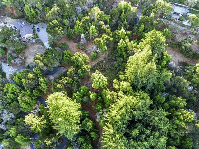 12 Montecito Road, Woodside CA: https://media.crmls.org/mediaz/ee0a27ad-e510-44c4-b9cd-3432999b27a6.jpg