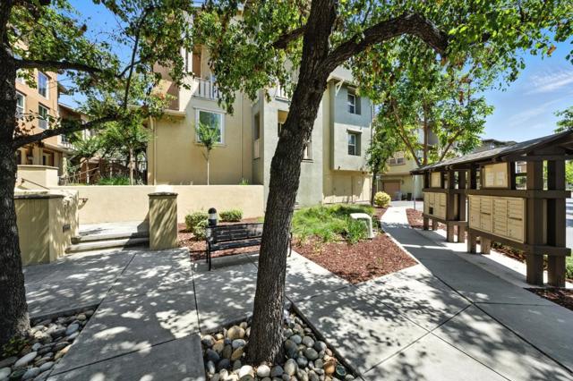 709 Modern Ice Drive, San Jose CA: https://media.crmls.org/mediaz/ee0f5a27-9202-42fd-9cab-cb1140ee3dc4.jpg