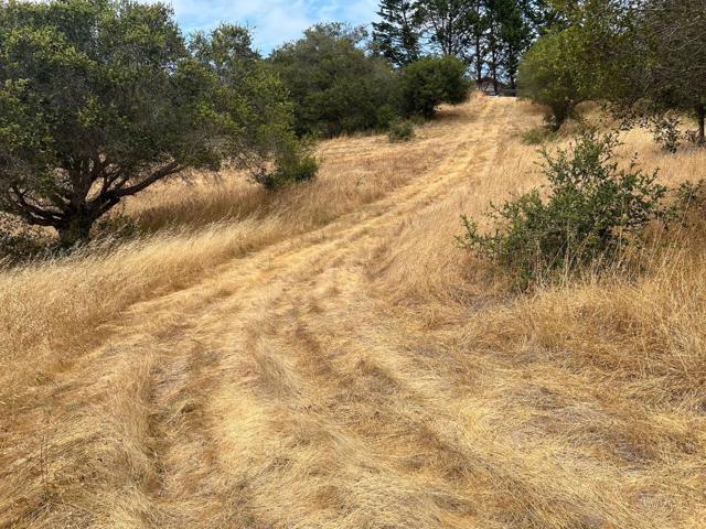 3230 Hillman Lane, Royal Oaks CA: https://media.crmls.org/mediaz/ee18a77a-596d-483d-8675-203dfd247671.jpg