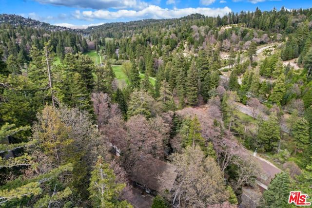 286 S Fairway Drive, Lake Arrowhead CA: https://media.crmls.org/mediaz/ee26012f-4271-4e2e-806a-ef6270868ca4.jpg