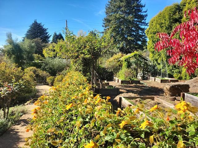 3360 Merrill Road, Aptos CA: https://media.crmls.org/mediaz/ee276bef-f618-45a6-a274-5a8d86e12bb9.jpg