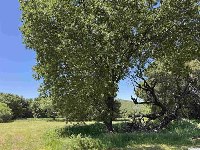 5750 Forest Meadows, Julian CA: https://media.crmls.org/mediaz/ee2818b9-d7db-47e7-a84a-1b16ef15de19.jpg