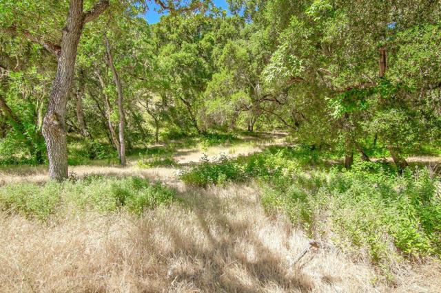 0 Creek Ranch, Carmel Valley Road, Carmel Valley CA: https://media.crmls.org/mediaz/ee2b3bc4-420b-42e6-bae5-3d0d603aa07d.jpg