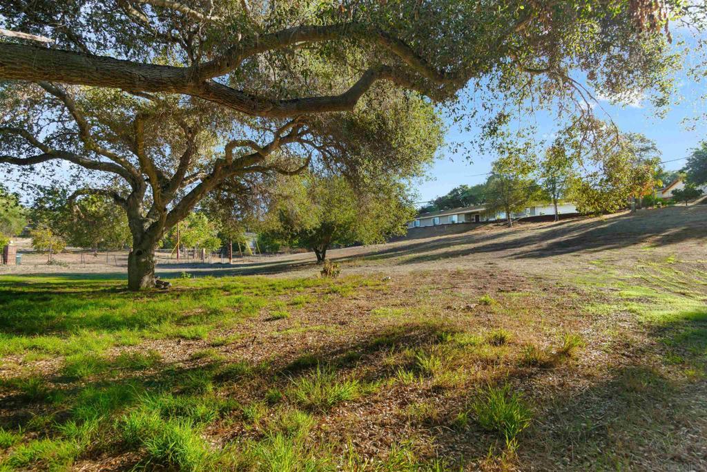 MLS #250043071SD image #38