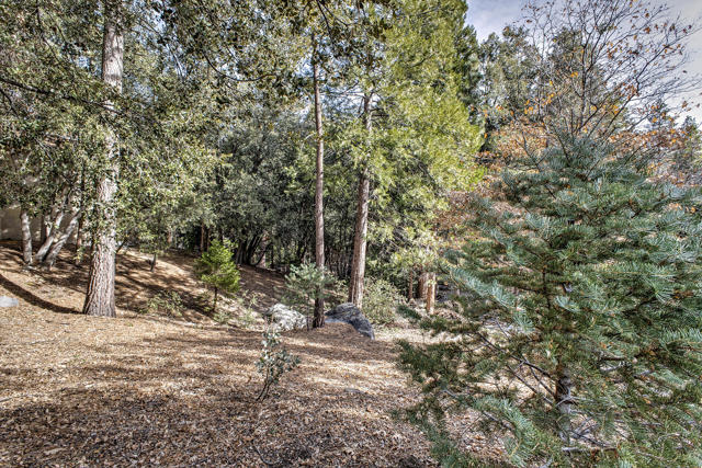 Image 2 for -156 Pine Crest Ave, Idyllwild, CA 92549