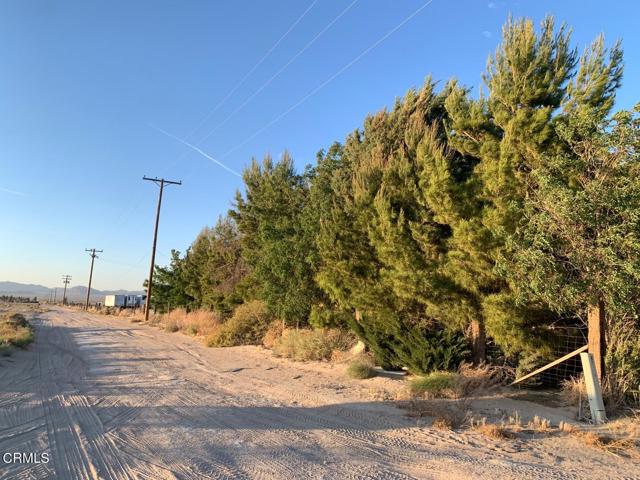 Detail Gallery Image 7 of 15 For 36166 Wilshire Rd, Lucerne Valley,  CA 92356 - 2 Beds | 2 Baths