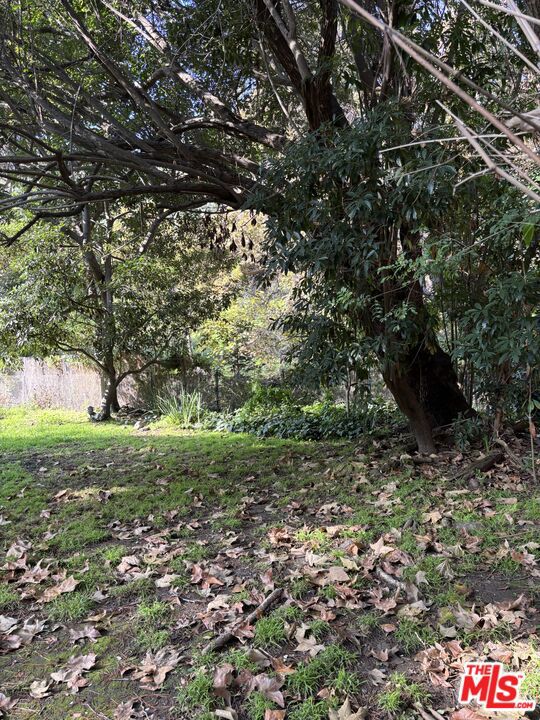 Drew Fenton | 643 Hightree Road Santa Monica CA | MLS: 7522748 Drew Fenton | 643 Hightree Road Santa Monica CA | MLS: 7522748