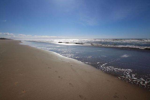 101 Shell Drive, La Selva Beach CA: https://media.crmls.org/mediaz/ee50e463-f39f-49e3-8597-83d95c6b29c2.jpg