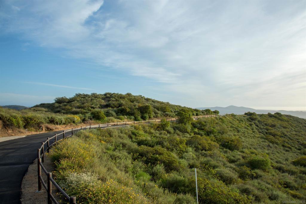 MLS #250030057SD image #43