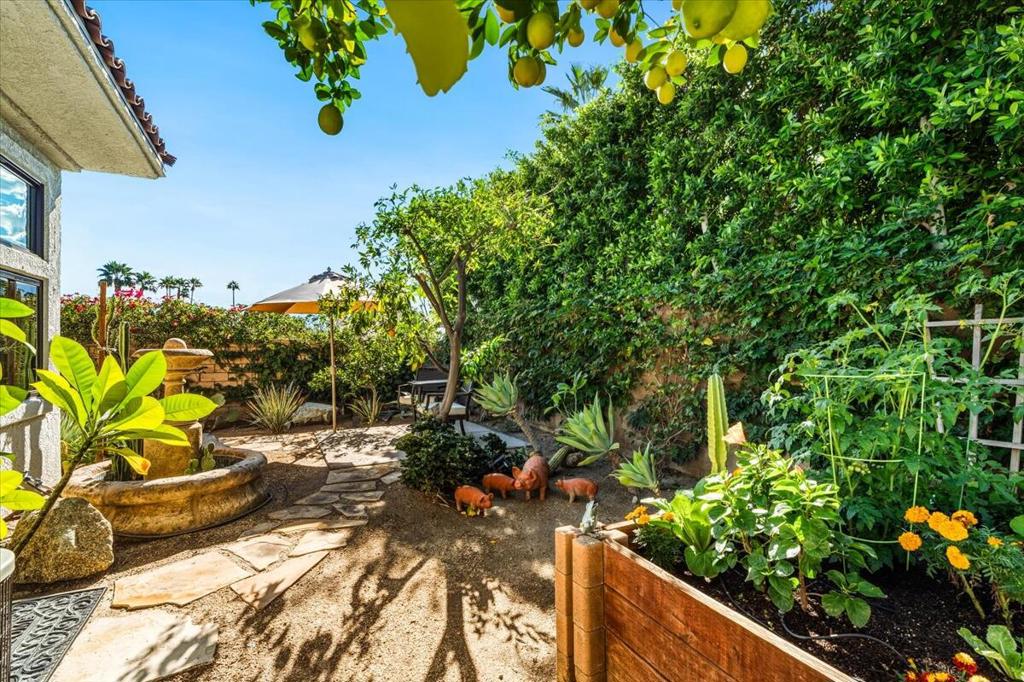 MLS #219139195DA image #50