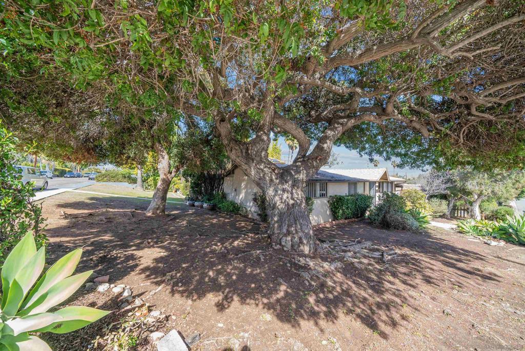 MLS #250037822SD image #29