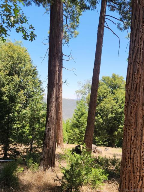 0 Conifer Lane, Palomar Mountain CA: https://media.crmls.org/mediaz/ee840ae5-7463-4153-99df-5ab75fcfec15.jpg